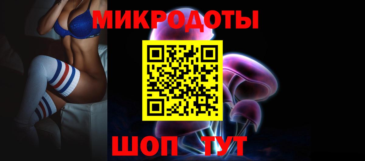 Курчалой  Галлюциногенные грибы прущие грибы  Вход с VPN 